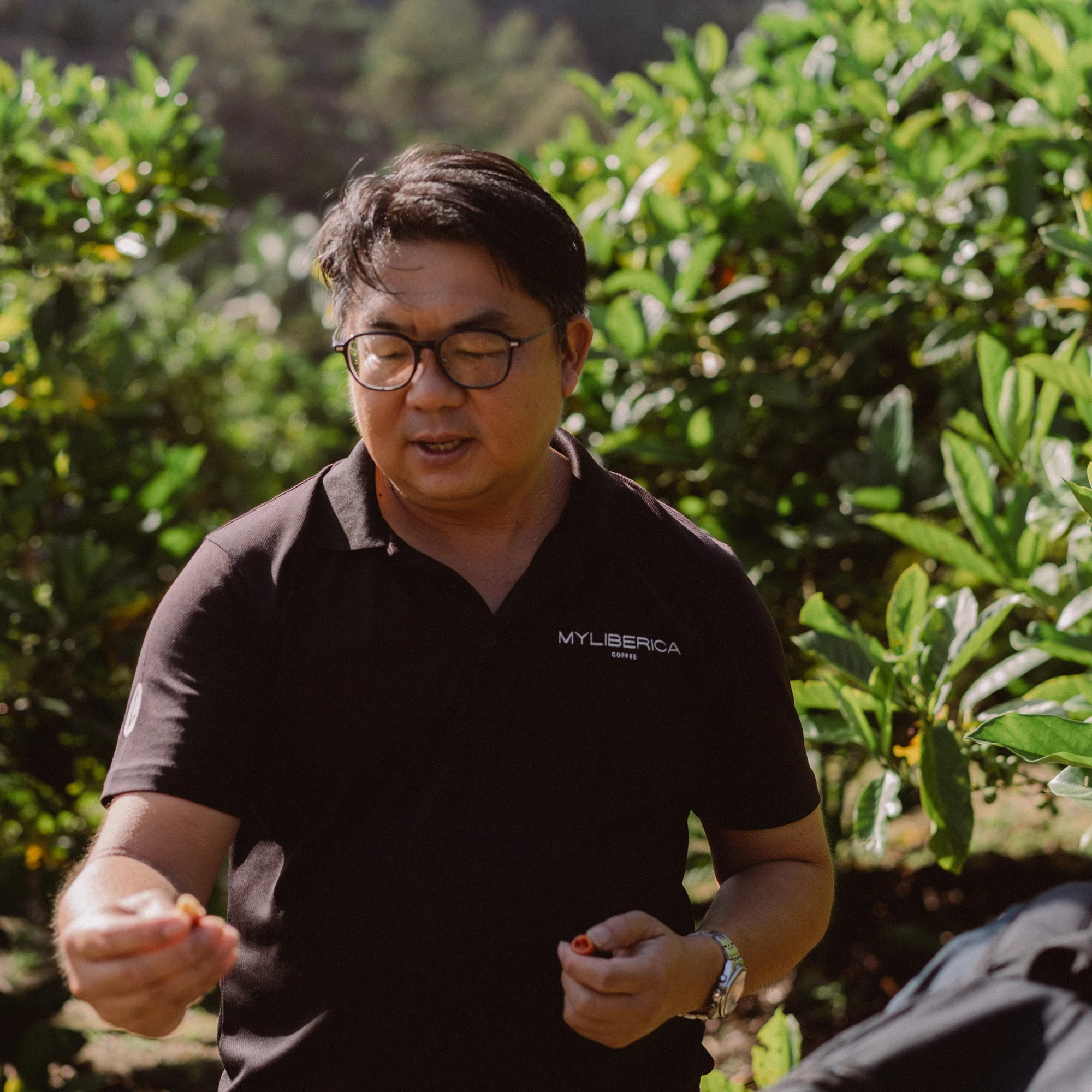 Coffee Origin Trip | My Liberica Coffee Farm, Mill & Tour in Johor, Malaysia - Image 4