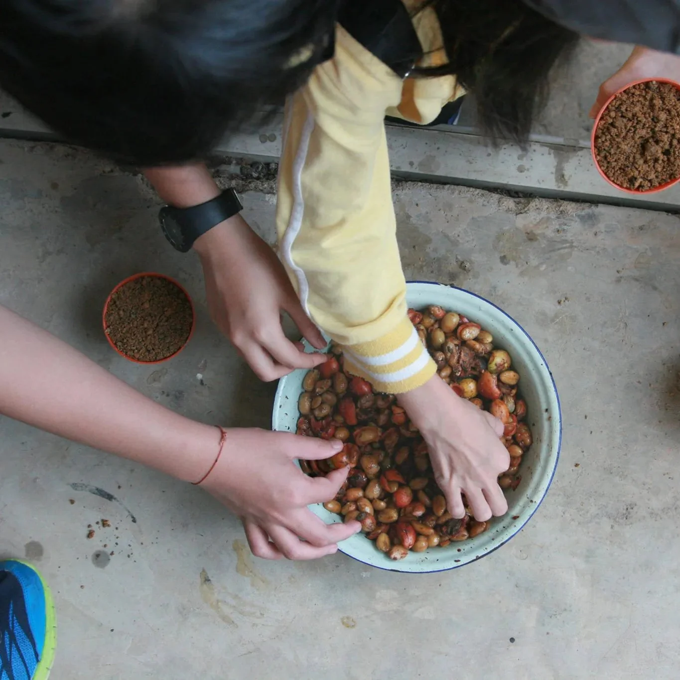 Coffee Origin Trip | My Liberica Coffee Farm, Mill & Tour in Johor, Malaysia - Image 6